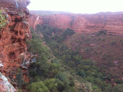 Discovery Resorts - Kings Canyon - Accommodation BNB 34