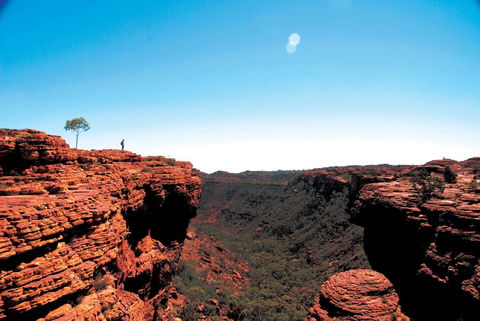 Discovery Resorts - Kings Canyon - Accommodation BNB 38