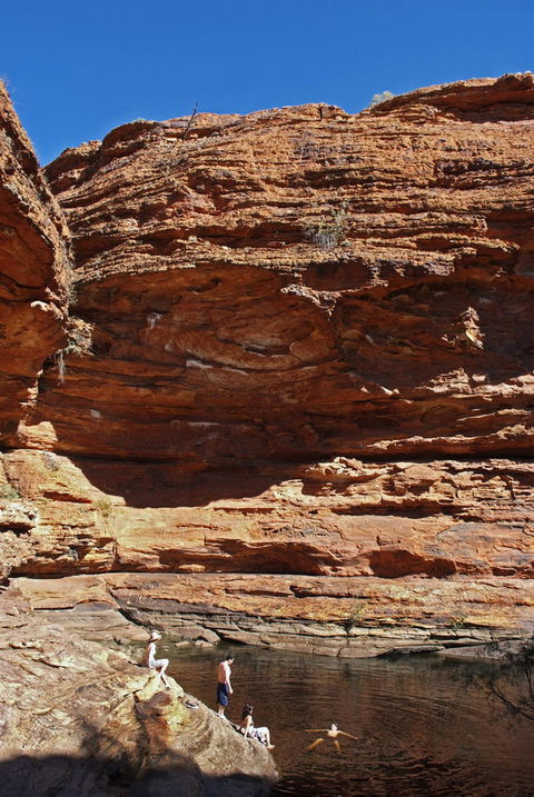 Discovery Resorts - Kings Canyon - Accommodation BNB 44