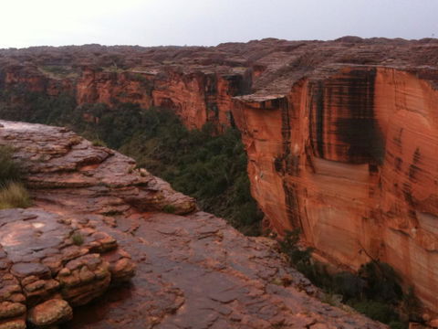 Discovery Resorts - Kings Canyon - Accommodation BNB 35