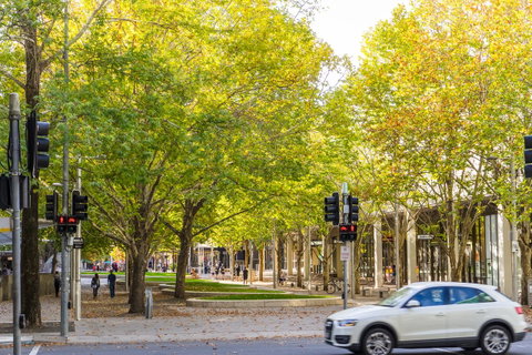 Highgate Executive Apartment City Walk Canberra - Accommodation BNB 37