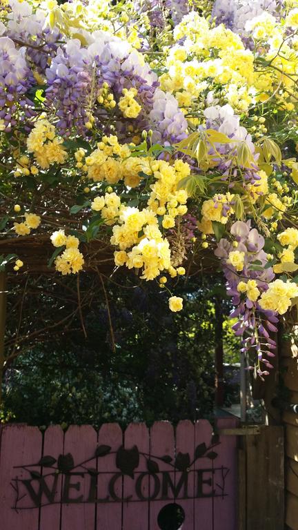 Bowral Road Bed And Breakfast - Accommodation BNB 0
