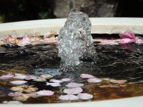 Bowral Road Bed And Breakfast - Accommodation BNB 2
