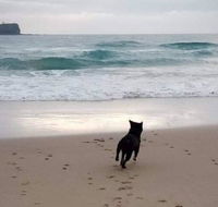 Breakers at Mudjimba Beach - Accommodation BNB
