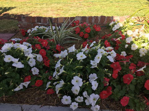 Bryants Motel - Accommodation BNB 3