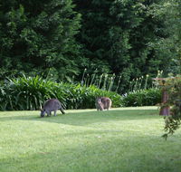 Bundanoon 2578 - Accommodation BNB