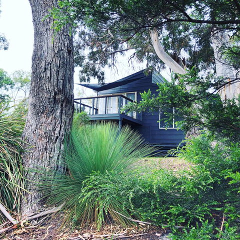 Bush Hideaway By The Beach - Accommodation BNB 3