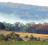 Candlebark Retreat - Accommodation BNB