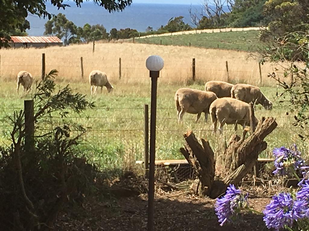 Table Cape TAS Accommodation BNB