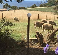 Cape View B and B - Accommodation BNB