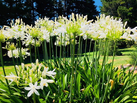 Carawah Ridge - Accommodation BNB 1