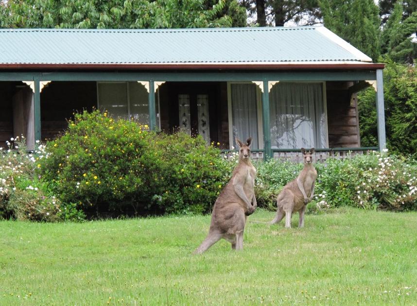 Bell NSW Accommodation BNB