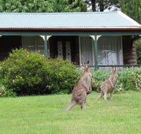 Cedar Lodge Cabins - Accommodation BNB