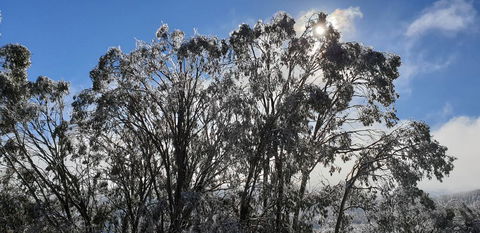 Cedarwood Apartments - Accommodation BNB 1