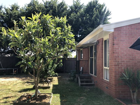 Charlie Sweet Home At Mornington Peninsula - Accommodation BNB 1