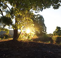 Clarendon Forest Retreat - Accommodation BNB