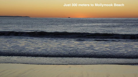 Clyde Studio 53, Mollymook - Accommodation BNB 3