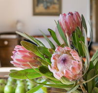 Cooee Cottage - Accommodation BNB