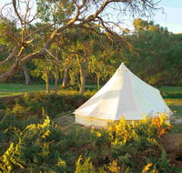 Coonawarra Bush Holiday Park - Accommodation BNB