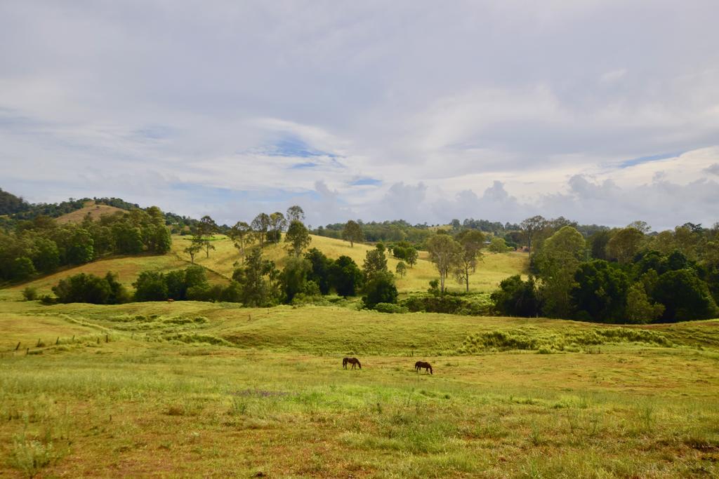 Kandanga QLD Accommodation BNB