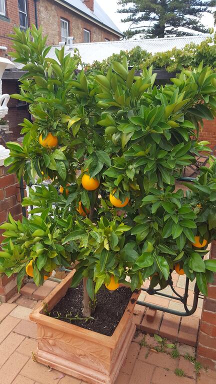 Courtyard Faversham House - Accommodation BNB 2