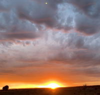 creative 3D sculpture share - Accommodation BNB