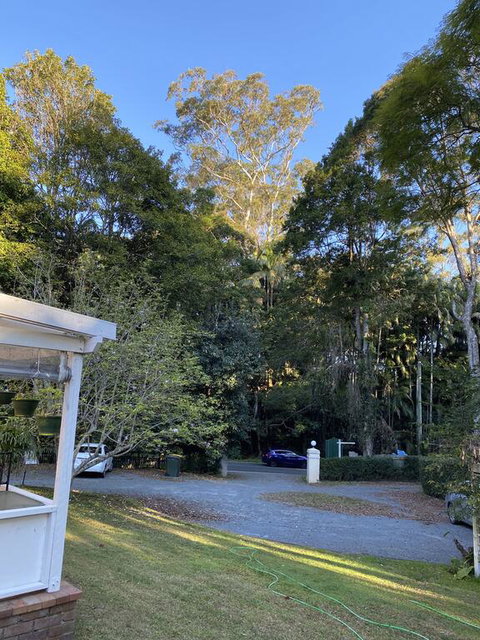 Curtis Falls Studio-Apartment - Accommodation BNB 3
