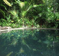 Daintree Rainforest Retreat Motel - Accommodation BNB