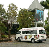 Daintree Wild Bed  Breakfast - Accommodation BNB