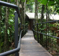Daintree Wilderness Lodge - Accommodation BNB