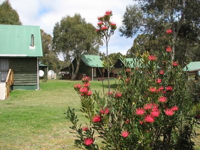 Derwent Bridge Chalets & Studios - Accommodation BNB 1