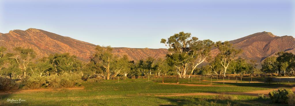 Flinders Ranges SA Accommodation BNB