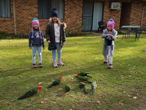 Eildon Parkview Motor Inn - Accommodation BNB 1
