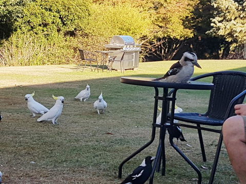 Eildon Parkview Motor Inn - Accommodation BNB 0