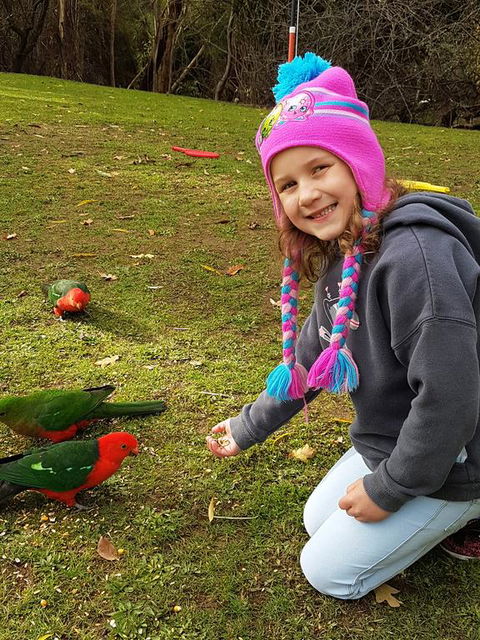 Eildon Parkview Motor Inn - Accommodation BNB 3