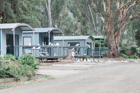 Eildon Pondage Holiday Park - Accommodation BNB 3