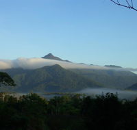 Epiphyte B  B - Accommodation BNB