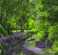 Esk Caravan Park  Rail Trail Motel - Accommodation BNB