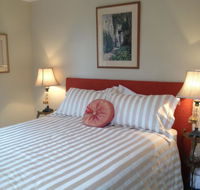 Every Man and His Dog Vineyard - Accommodation BNB