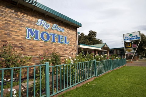 Fig Tree Motel - Accommodation BNB 2