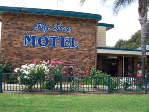 Fig Tree Motel - Accommodation BNB 1