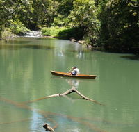 Figtree Getaway - Accommodation BNB