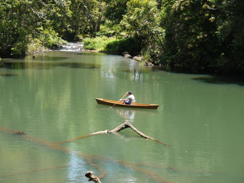 Figtree Getaway - Accommodation BNB 0