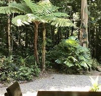 Forest Views Daintree - Accommodation BNB