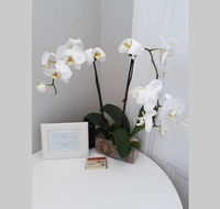 Gawler Heritage Accommodation - Accommodation BNB