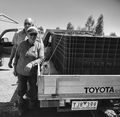 Gilgraves Vineyard Farmstay - Accommodation BNB 2