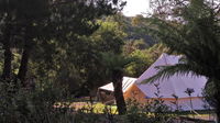 Book Zeehan Accommodation Vacations Accommodation BNB Accommodation BNB
