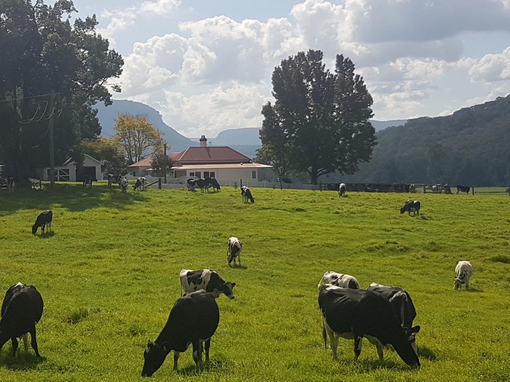 Werai NSW Accommodation BNB
