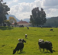 Glenmurray - Country farm stay - Accommodation BNB