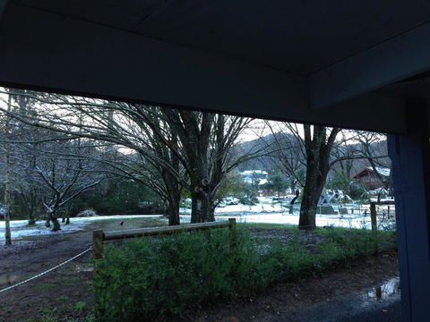 Goldberryaccommodation - Accommodation BNB 3
